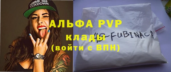 амф Бородино