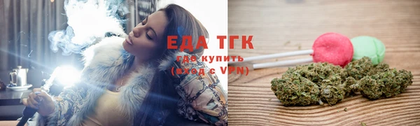 амф Бородино