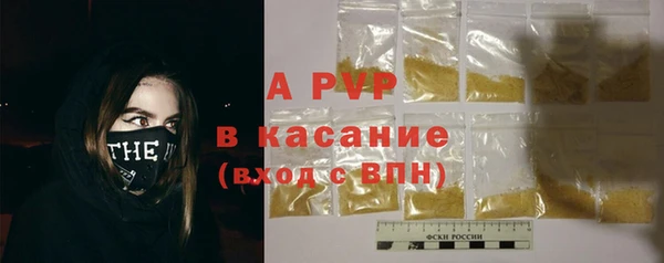 амф Бородино