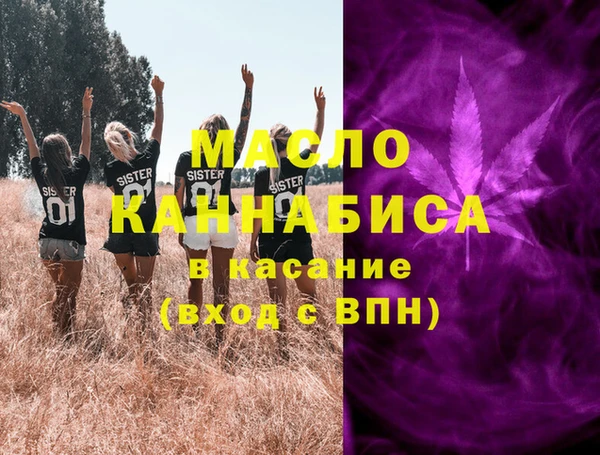 амф Бородино