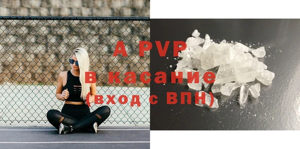 амф Бородино