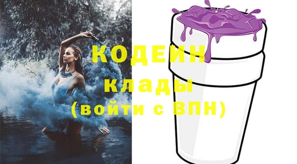 амф Бородино