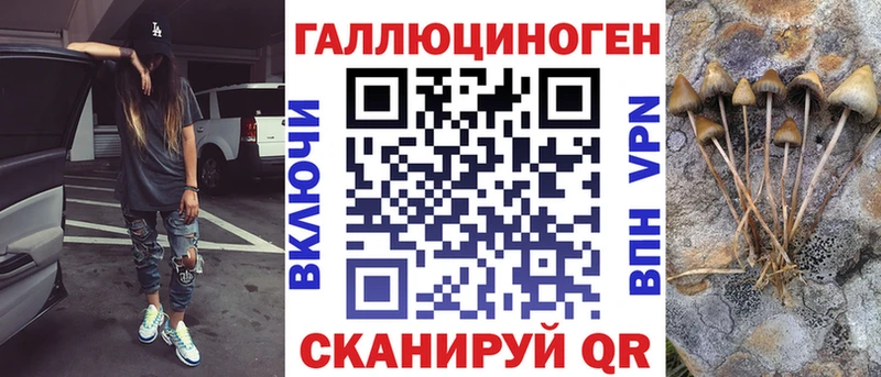 что такое   Мончегорск  Псилоцибиновые грибы Magic Shrooms 